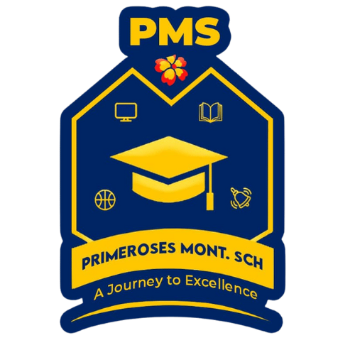 Machine Stone Primeroses Montessori School